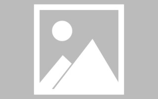 焦作肇庆教育网站建设（肇庆市教育平台登录入口）